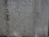 image of grave number 795061